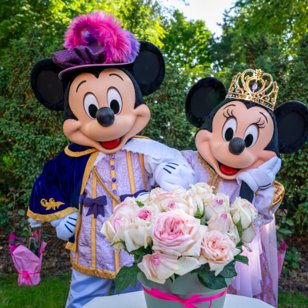 Er was eens… een ‘Rose au Bois Dormant’